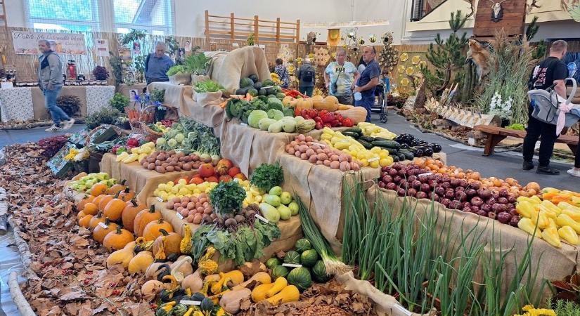 A balástyai falunapi kiállítás régi tárgyakkal, nosztalgiával és különleges hangulattal várja az érdeklődőket