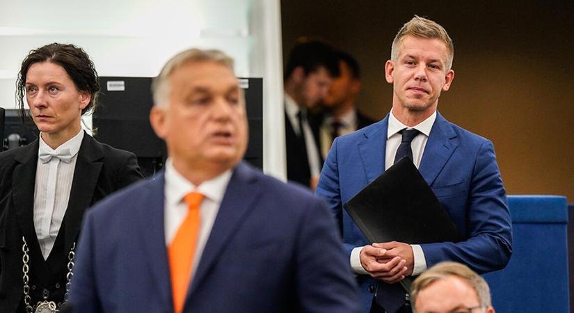 Már közel 70 millió forinttal fogadtak Magyar Péterre – de a győzelmére vagy a vereségére?