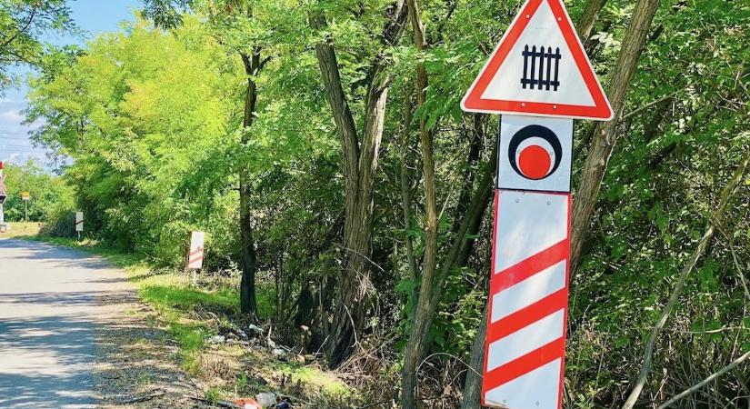 Kiszabadította a gazból a közlekedési táblákat a Tarkarét utcai vasúti átjáróban a győri városvezetés