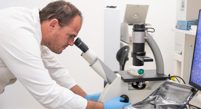 Debreceni mérföldkő a retina betegségeinek gyógyításában