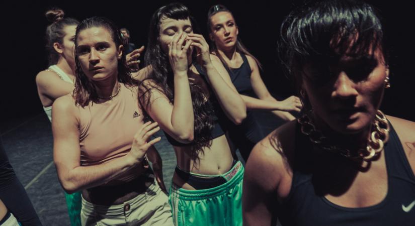 Színes madarakkal repülünk idén a Szabadság Szigetére