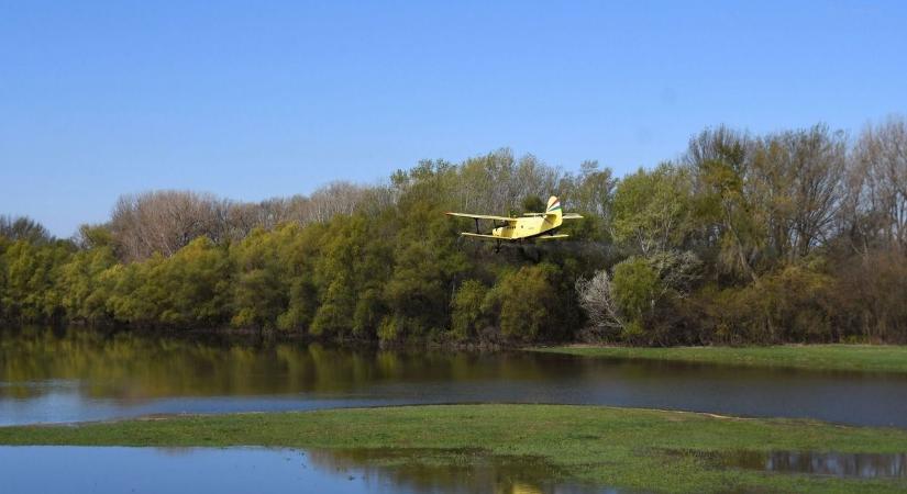 Ne szívják a vérünket – gyérítik a szúnyogokat a Tisza-tónál
