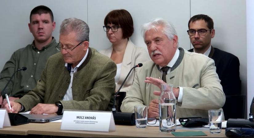 Akár teljesen eltűnhetnek az erdők az Alföldről