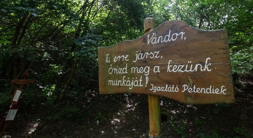 Misztikus forrás az erdő mélyén – a Fejfájós kút titkát máig találgatják