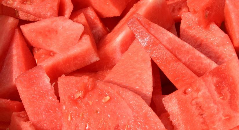 Igen fontosak a kertészeti pályázatok a hazai dinnyetermesztés fennmaradásához