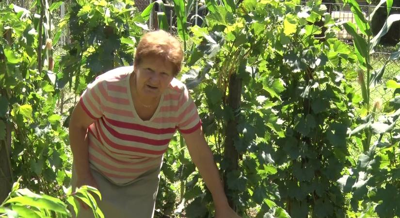 A csapadék ugyan megjött, de van, még ahol szükség van a védekezésre is