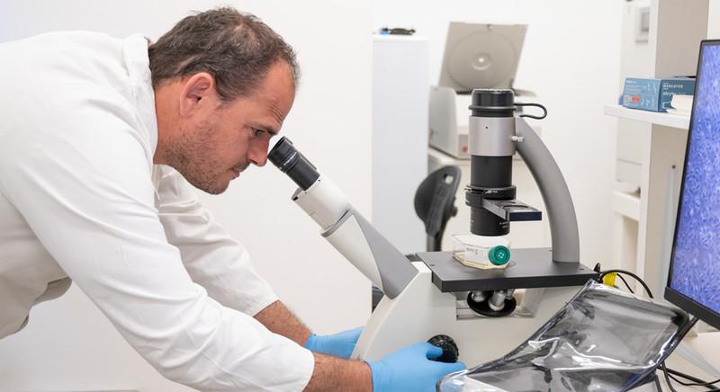 Új távlatok nyílhatnak a Debreceni Egyetemen a retina betegségeinek gyógyításában