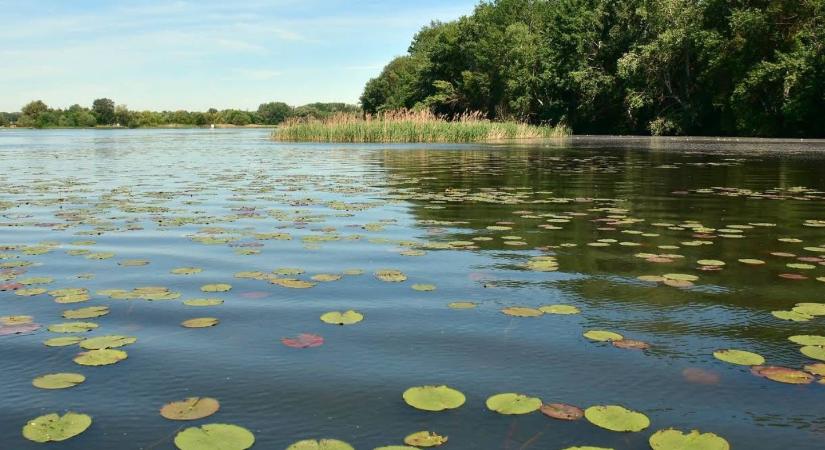 Munkacsoport alakult Debrecenben a Tisza-tóért