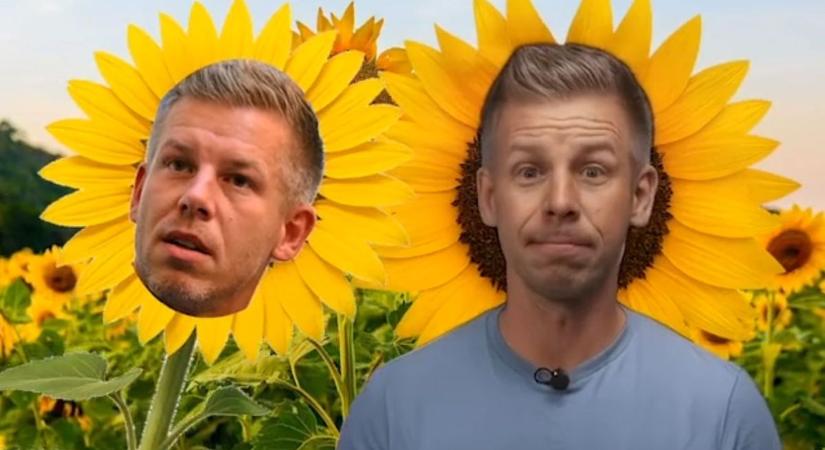 Egy magyar gazda tette helyre a brüsszeli botcsinálta „agrárszakértő” Magyar Pétert (videó)