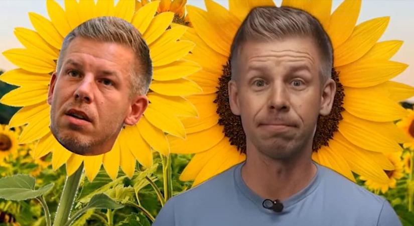 "Ez micsoda, napraforgó?" "Nem, ez gaz" - így sült fel Magyar Péter, az EP Mezőgazdasági Bizottságának tagja