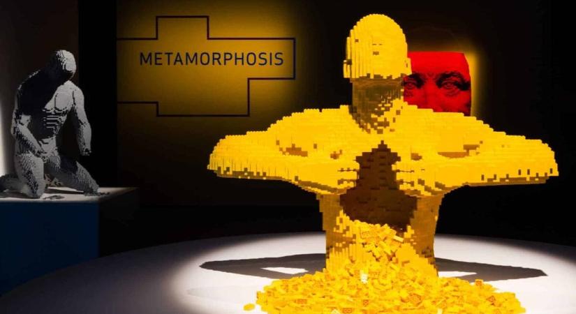 Hivatásos Lego-építő
