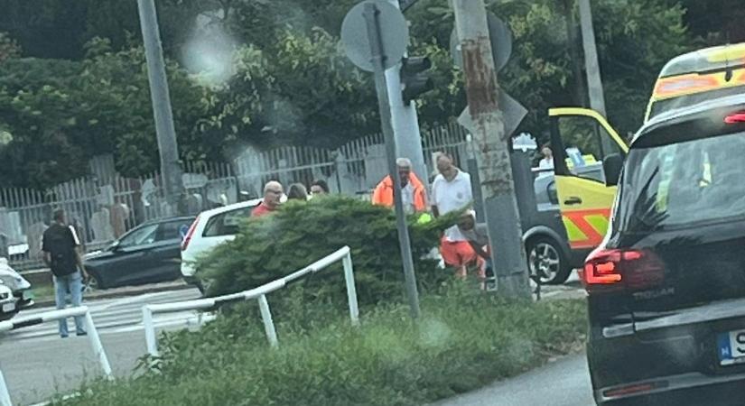 A zebrán gázolták el a kerékpáros kisfiút