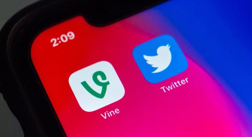 Elon Musk felélesztené a legendás Vine videós platformot
