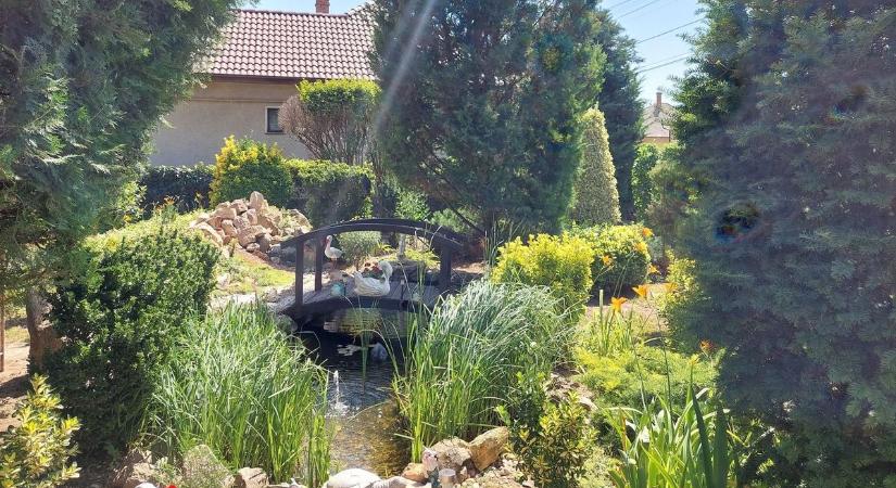 Színes csodák az abonyi kertekben – mutatjuk a gyönyörű fotókat