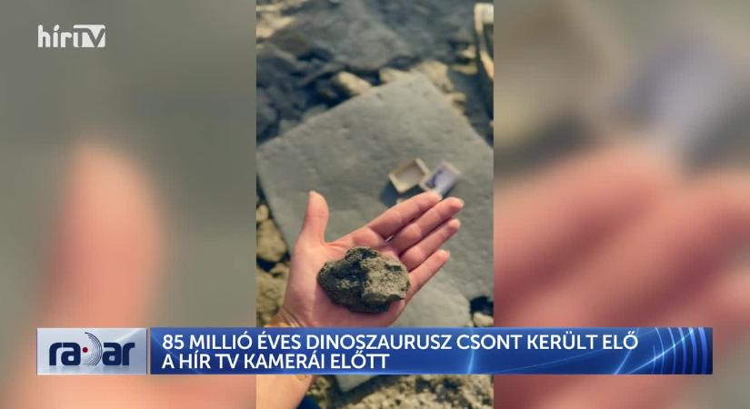 Radar - A Hír TV stábja fedezett fel egy 85 millió éves dinoszauruszcsont Iharkúton  videó