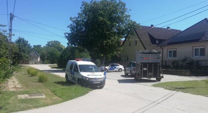 Drónnal is kereste a rendőrség a Dunántúlon elszabadult bikát