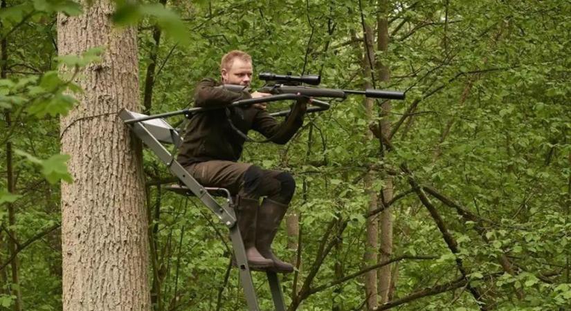 Kilátónak hiszik, pedig életveszély: Ezért nem mászhatsz fel a vadász magaslesére