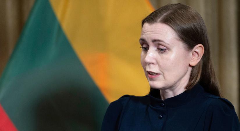 Litvánia a NATO légvédelmi segítségét kérte a területén talált orosz drón miatt