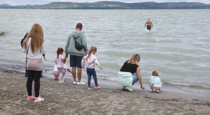 Nincs vége az árvaszúnyog-inváziónak a Balatonnál: amellett, hogy tilos, technikailag is lehetetlen az irtás