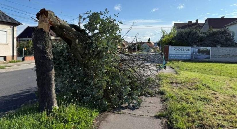 Óriási villámcsapások - Borzasztó vége lett volna, ha a szombati vihar délután csap le