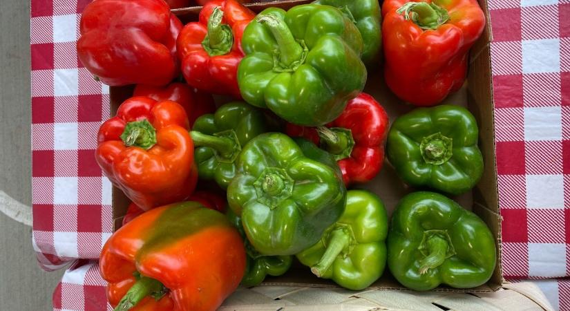 A zöld vagy a piros színű paprika az egészségesebb? Ez a különbség köztük a szín alapján!