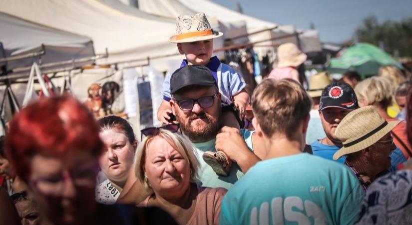Akciós papírtörlő vagy iskolatáska? Csütörtökön irány az Ónodi Vásár!