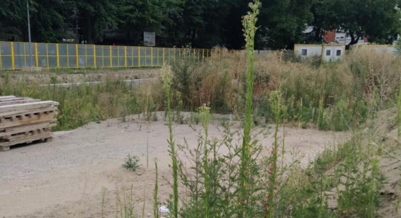 VMDK: Mi történik a Szabadegyetem mögött?
