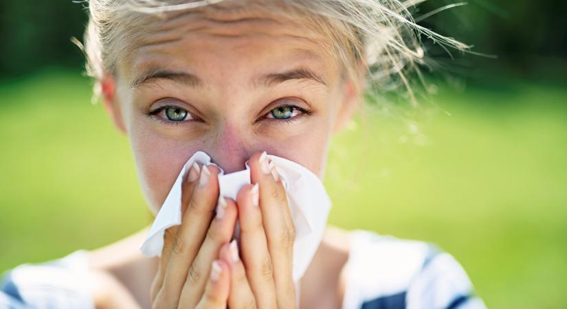 Tavasztól őszig tüsszögsz? – a pollenallergia évszakos térképe