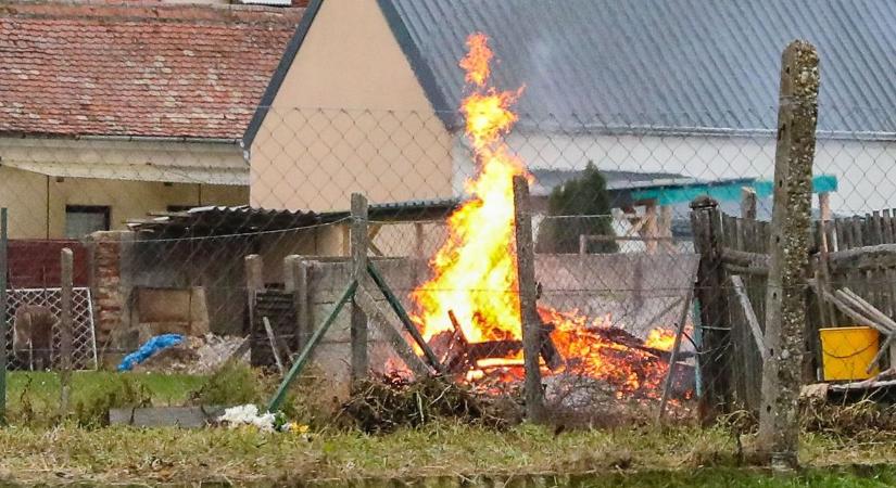Kidőlt fa állította meg a reggeli forgalmat Szekszárdon