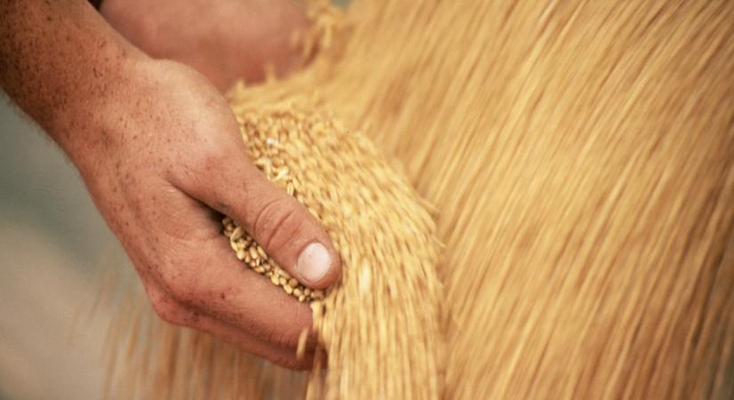 Váratlan fordulat a magyar agráriumban: ezt jó, ha mindenki tudja