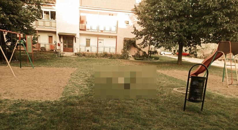 Kifeküdt a nyíregyházi játszótéren és sikoltozik az érintésektől!