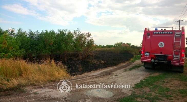 Eddig több, mint 411 szabadtéri tűz keletkezett idén 