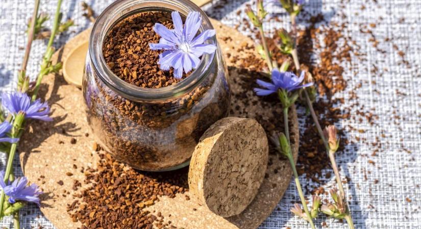 Inulin – a bélflóra szuperrostja, ami a hangulatunkkal is csodát tehet