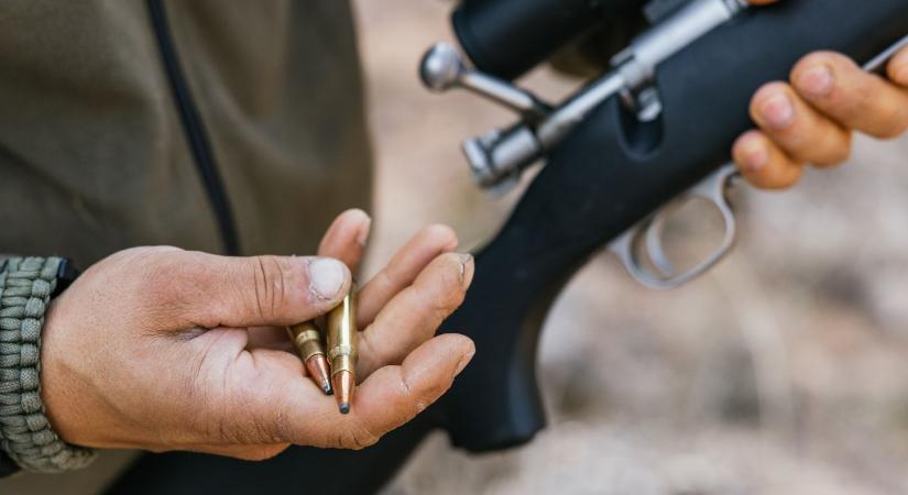 Hihetetlen baleset: vadász lőtt meg egy kincskeresőt az erdőben