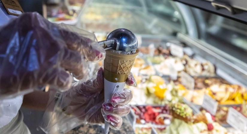 Fertőzött hűtők, rovaros fagyi, bezárt strandbüfék: durva hibákat találtak a nyári ellenőrzéseken