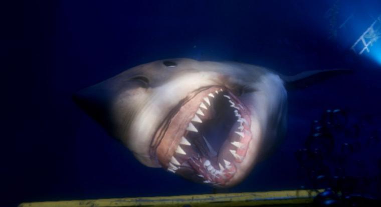 A Sharknadoból játék is készült, és most ingyen elviheted