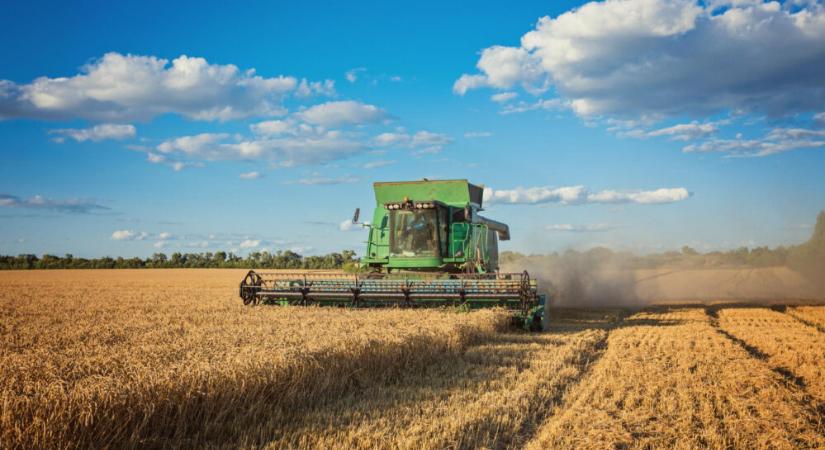 Kissé javultak a magyar agrárium várakozásai a második negyedév végére