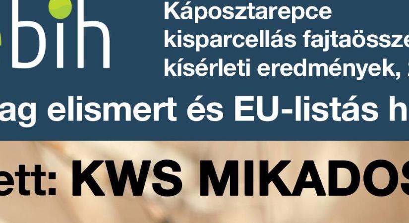 KWS MIKADOS – Bajnoki teljesítmény minden évben, megbízhatóan!