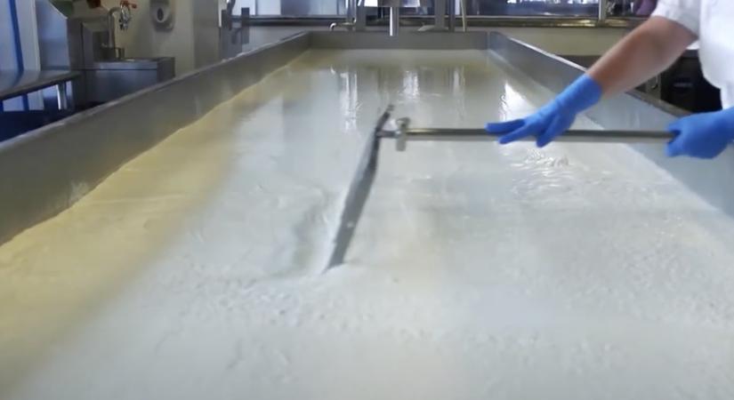 Feltámadt a túró: újra hasít az amerikai tejipar