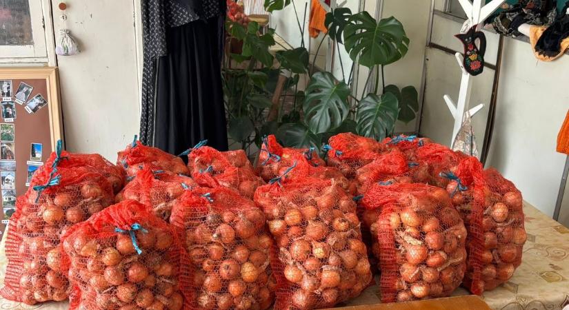 Nagylelkű ajándék: vöröshagyma, akinek kell, viheti