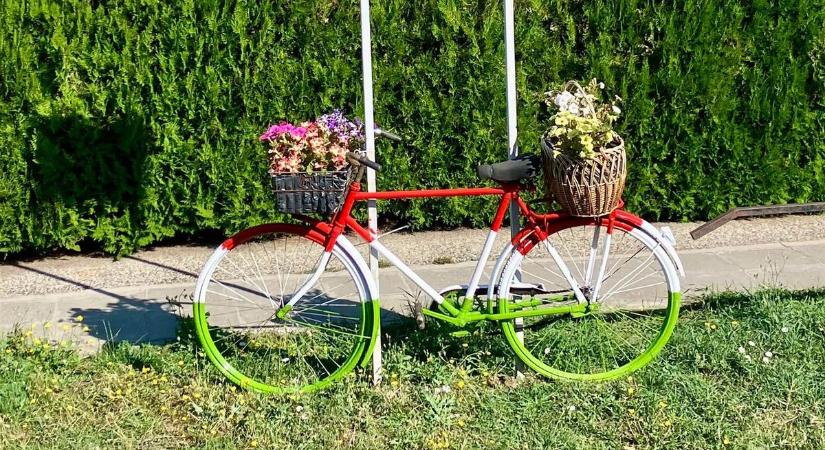 Új fotópont várja a látogatókat Mátyásdombon