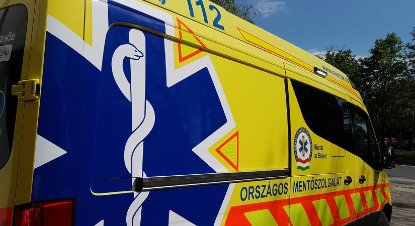 Megható levelet kapott az Ajkai Mentőállomás: Amíg ilyen emberek élnek, él a jóság is...