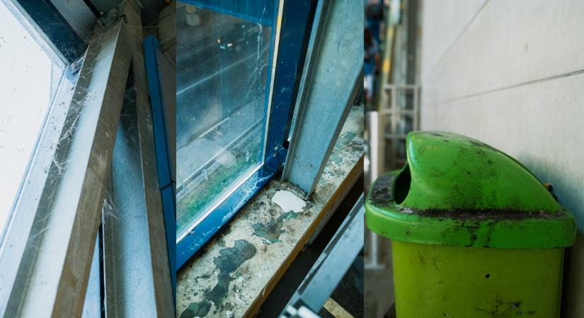 Így takarít a főváros: a köztisztasági akció után is dzsuvás maradt Kőbánya-Kispest
