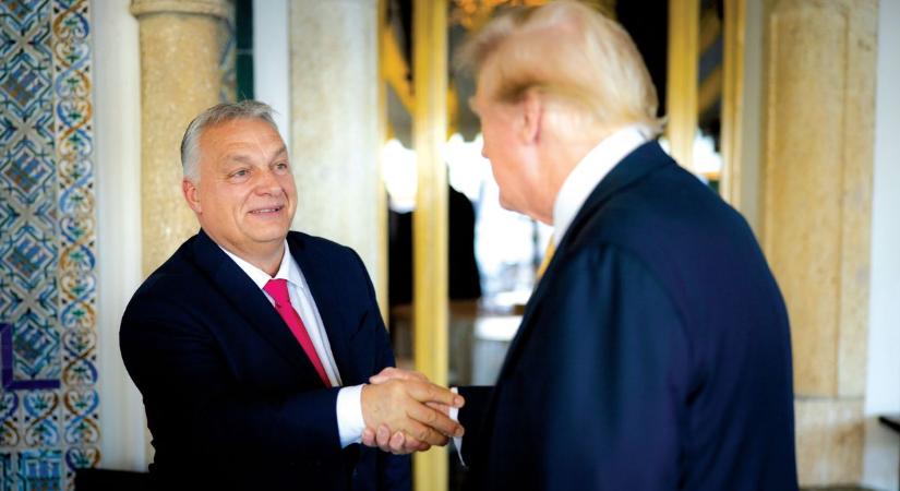 Vámfájdalmak és gyógyír hazánknak Amerikából