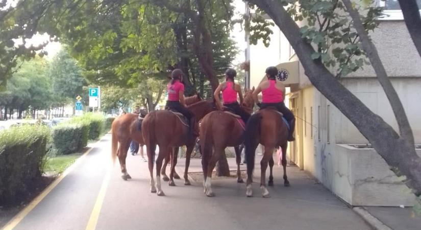 Lovakkal érkeztek fagyizni Győrben - Szabad ilyent? - fotók