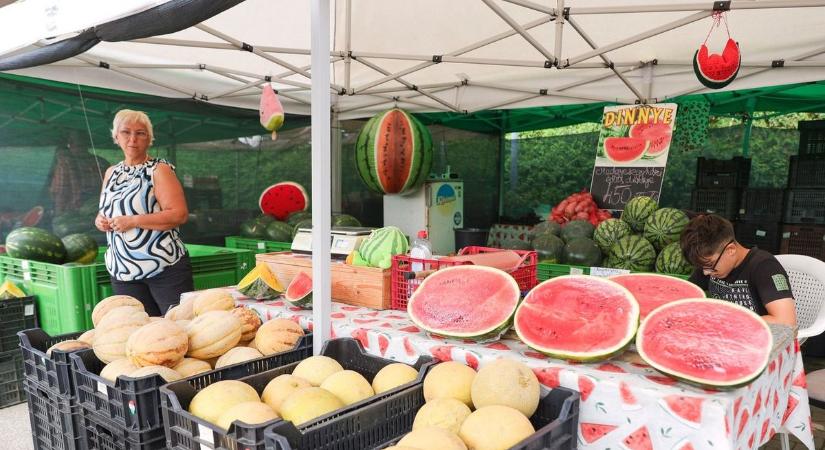 Ezt kell tudnod a dinnyéről Szegeden, kitálaltak a helyi kereskedők