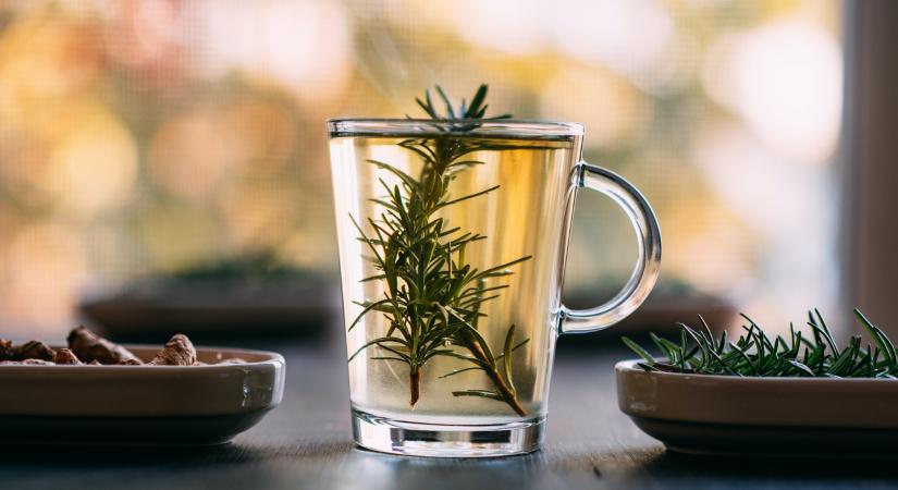 Az édesség iránti sóvárgást is csökkenti a népszerű fűszernövényből főzött tea