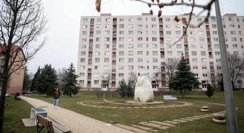 Belőlük lehet Felsőváros Csillaga, elindult a voksolás