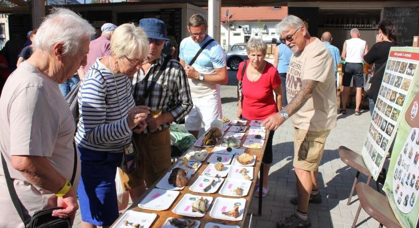 Horror árak a gombapiacon: a nyári gombaszezon, jelentjük, elmarad!