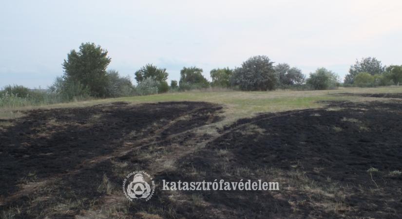 Száz hektár égett le Tiszafüred külterületén